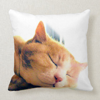 うちのかわいこちゃんのクッション クッション