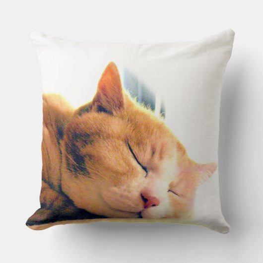 うちのかわいこちゃんのクッション クッション (正面)