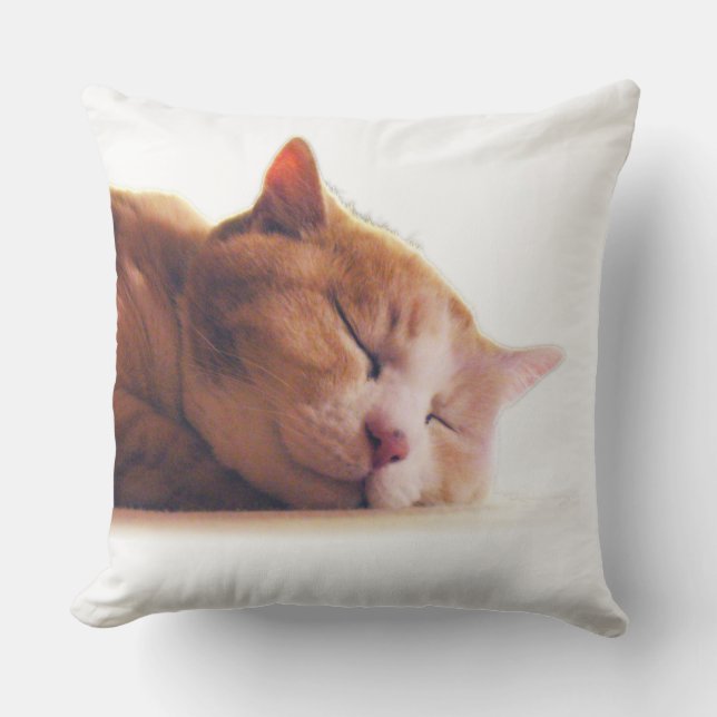 うちのかわいこちゃんのクッション クッション (正面)