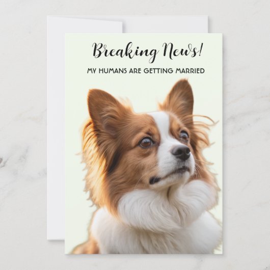 うちの人間が結婚するんです!愛犬の写真付き 招待状 (正面)