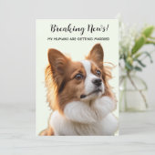 うちの人間が結婚するんです!愛犬の写真付き 招待状 (スタンド正面)