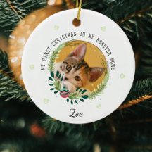 うちの猫の初めてのクリスマス