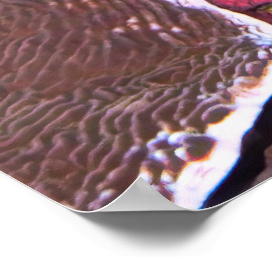 うつむくタコ ポスター (角)