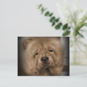 うどん、マイベビー ポストカード (スタンド正面)