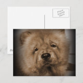 うどん、マイベビー ポストカード (正面/裏面)