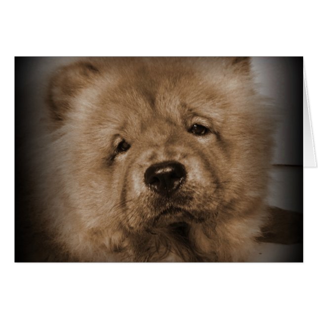 うどん、私のベビー (正面横)