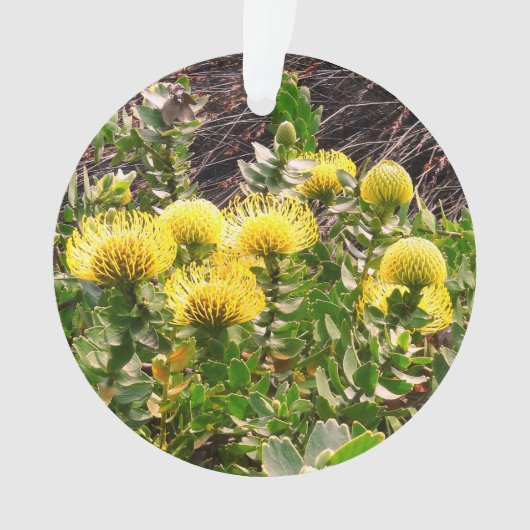 うなずきピンクシオンイエローバード#1オーナメント オーナメント (正面)