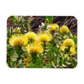 うなずきピンクシオンイエローバード#1マグネット マグネット (横)