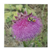 うなずくアザミ- タイル (正面)