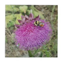 うなずくアザミ-