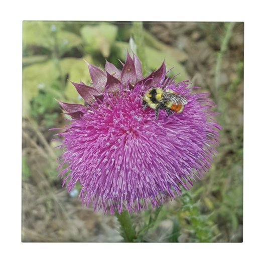 うなずくアザミ- タイル (正面)