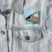 うなり声の魚 缶バッジ (インサイチュ)