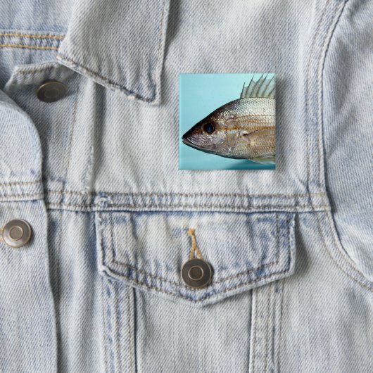 うなり声の魚 缶バッジ (インサイチュ)