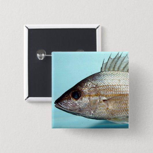 うなり声の魚 缶バッジ (正面&裏面)