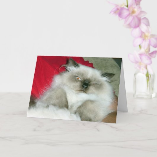 うぬぼれたヒミー カード (蘭)