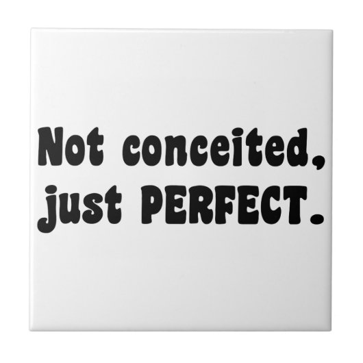 うぬぼれていないだけで完璧 タイル (正面)