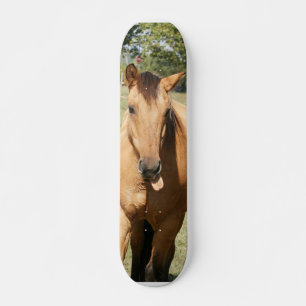 うぬぼれ屋の馬 スケートボード