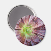 うまそう マグネット (正面/裏面)