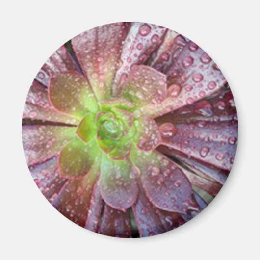 うまそう マグネット (正面)