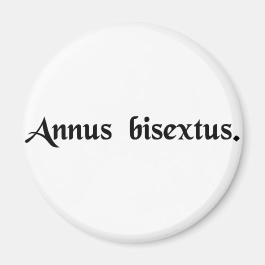 うるう年 マグネット (正面)