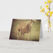 うるさくするな、絵を描馬が首を振る カード (黄色い花)