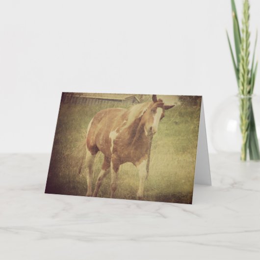 うるさくするな、絵を描馬が首を振る カード (正面)