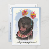 うれしそうなブラックラブラドールリトリエバークリスマスポストカード シーズンポストカード (正面/裏面)