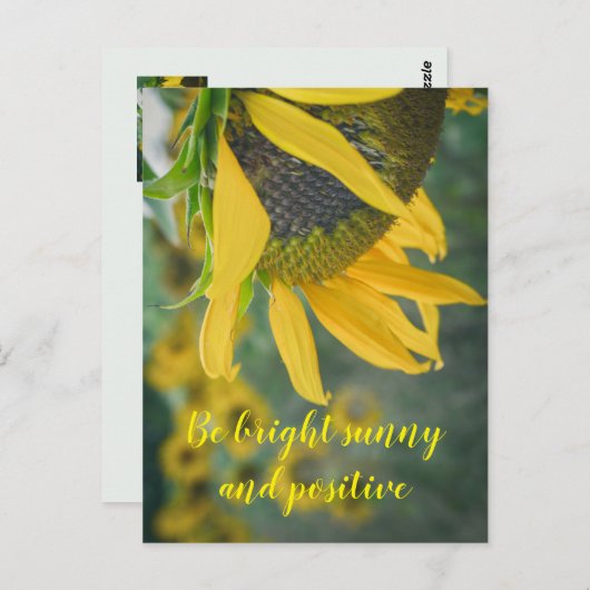 うれしそうな素朴なヒマワリ ポストカード (正面/裏面)