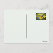 うれしそうな素朴なヒマワリ ポストカード (裏面)