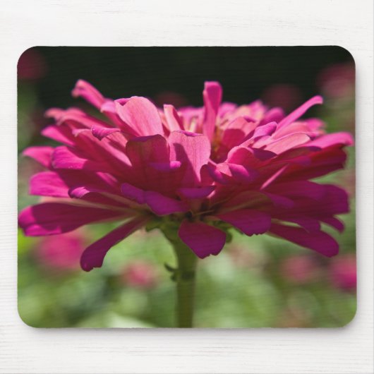 うれしそうな《植物》百日草 マウスパッド (正面)