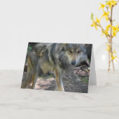 うろつくオオカミの挨拶状 カード (黄色い花)