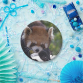 うろつくレッサーパンダ ペーパープレート (パーティー)