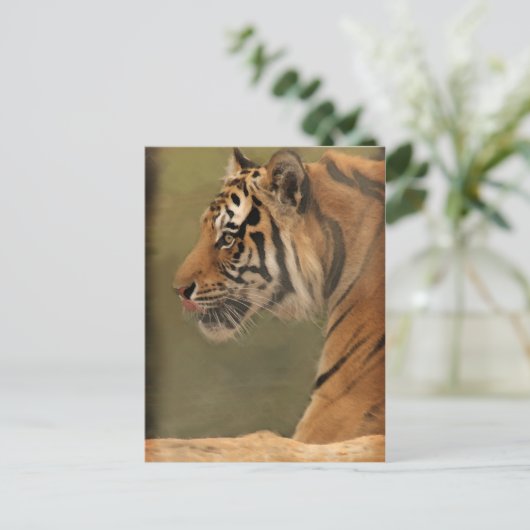 うろつく ポストカード (スタンド正面)