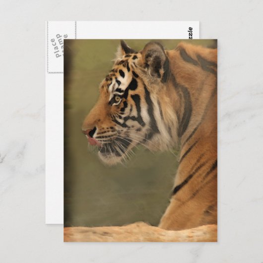 うろつく ポストカード (正面/裏面)