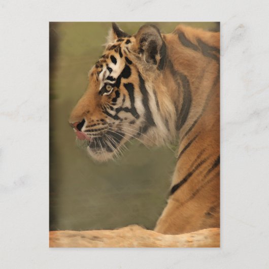 うろつく ポストカード (正面)