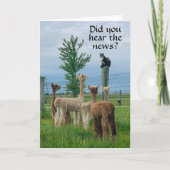 うわさによると**55誕生日**悪いカードではない カード (正面)