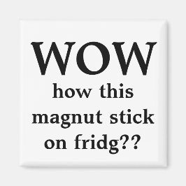 うわー、この磁石!! マグネット