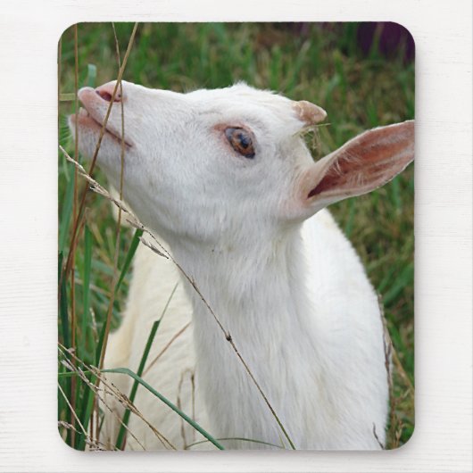 うわー！この草は私より背が高い マウスパッド (正面)