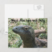 うわ～! おいしそうね。 ポストカード (正面/裏面)