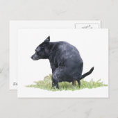 うんこをしりながら考える犬 ポストカード (正面/裏面)