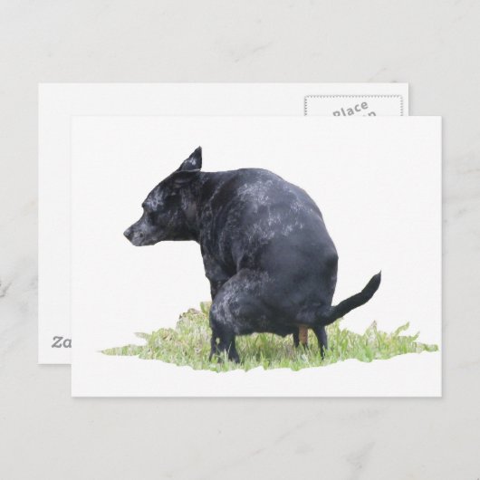 うんこをしりながら考える犬 ポストカード (正面/裏面)