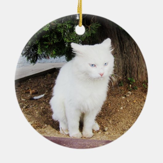 うんちをする猫 セラミックオーナメント (裏面)