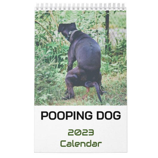 うんち犬カレンダー2023 カレンダー (カバー)