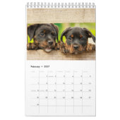 うんち犬カレンダー2023 カレンダー (2月 2027)