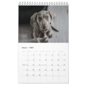 うんち犬カレンダー2023 カレンダー (3月 2027)