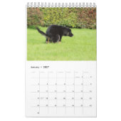 うんち犬カレンダー2023 カレンダー (1月 2027)