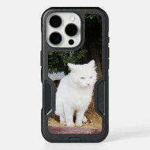 うんち猫