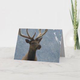 うーん、お誕生日だわ来ね。 カード