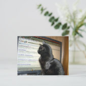 うーん….. ポストカード (スタンド正面)