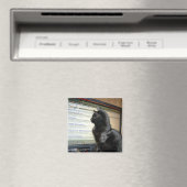 うーん….. マグネット (インサイチュ (食洗機))